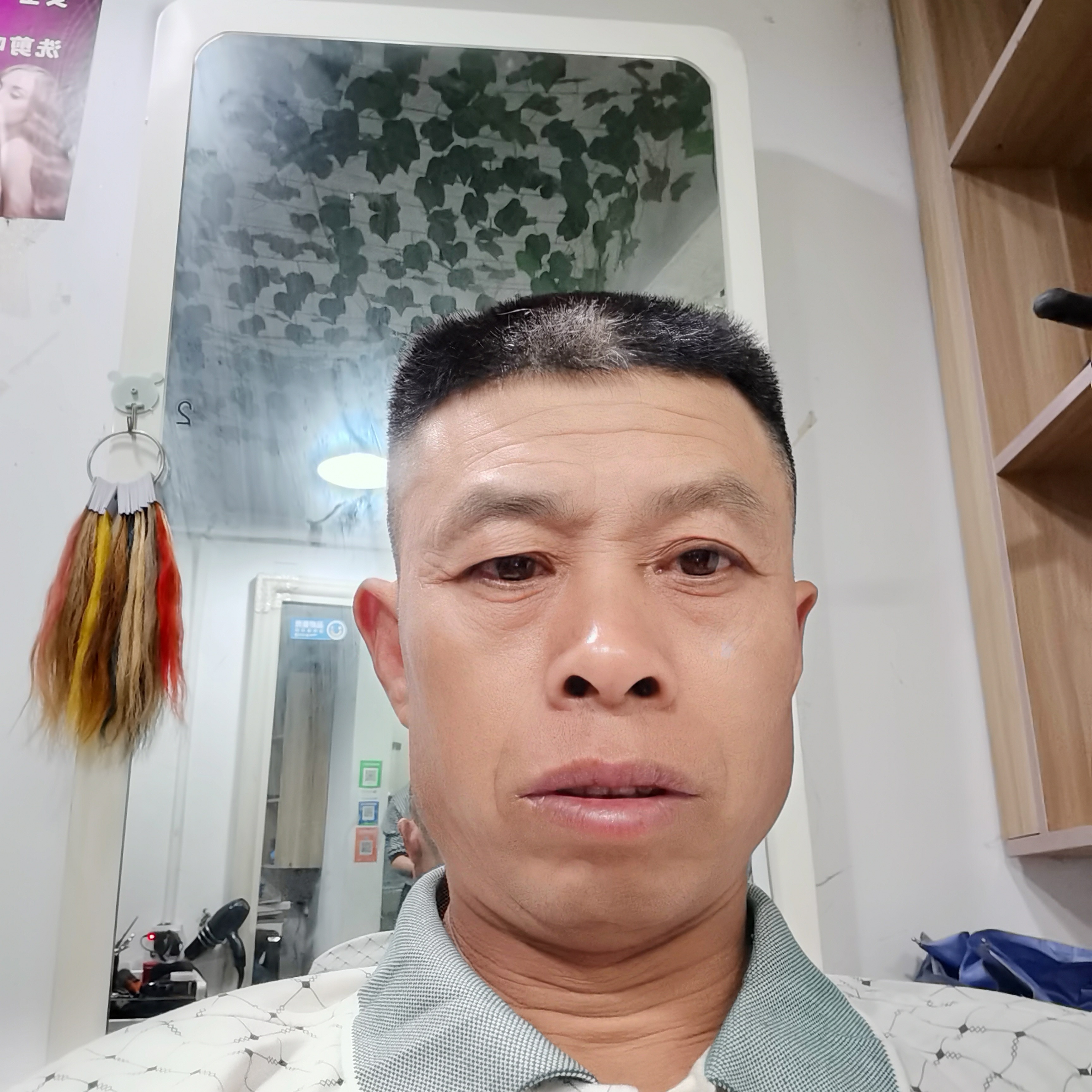 细心回眸白猫的照片