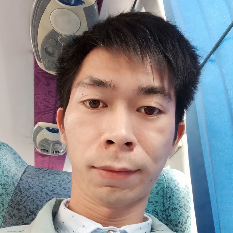 孤單倾心飞鸟的照片