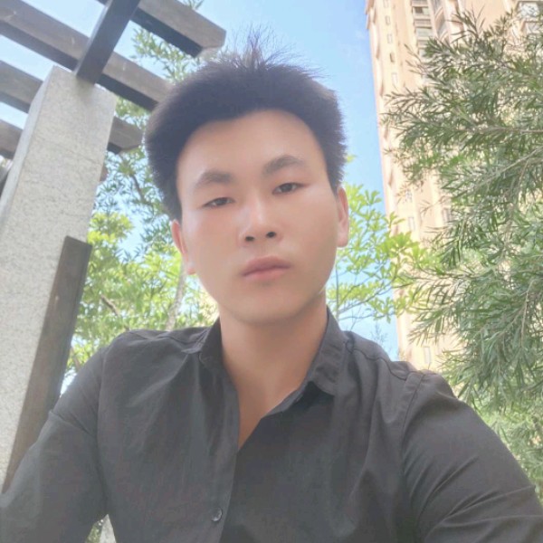 阳光下的枫叶的照片