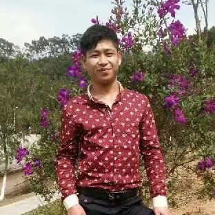 大树寂冷的照片