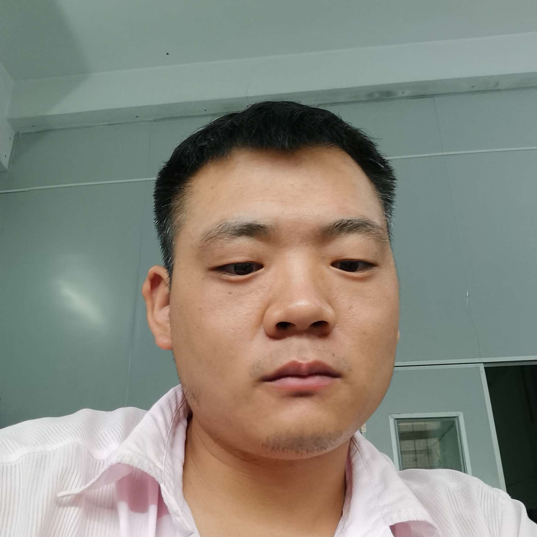 复杂演变冰淇淋的照片