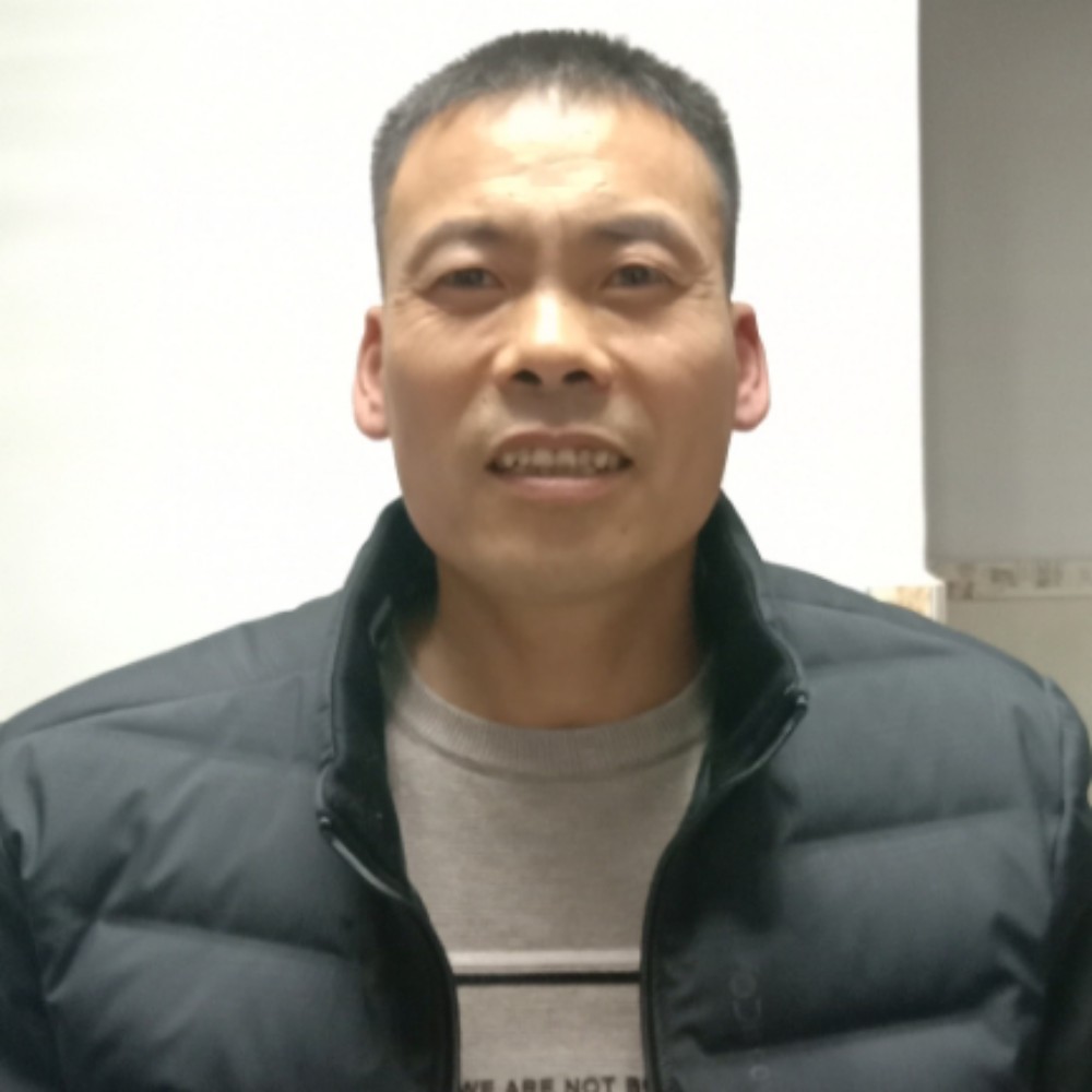 简单的大树的照片