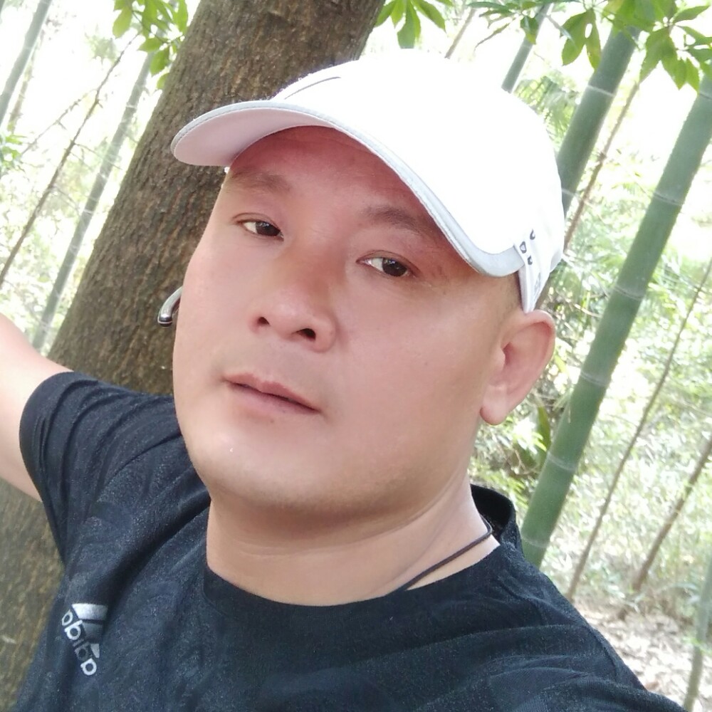 老迟到小松鼠的照片