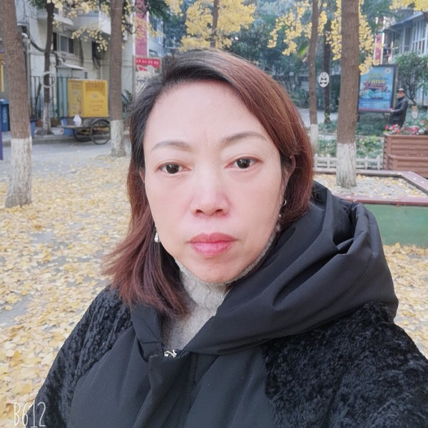 勤劳康乃馨花的照片