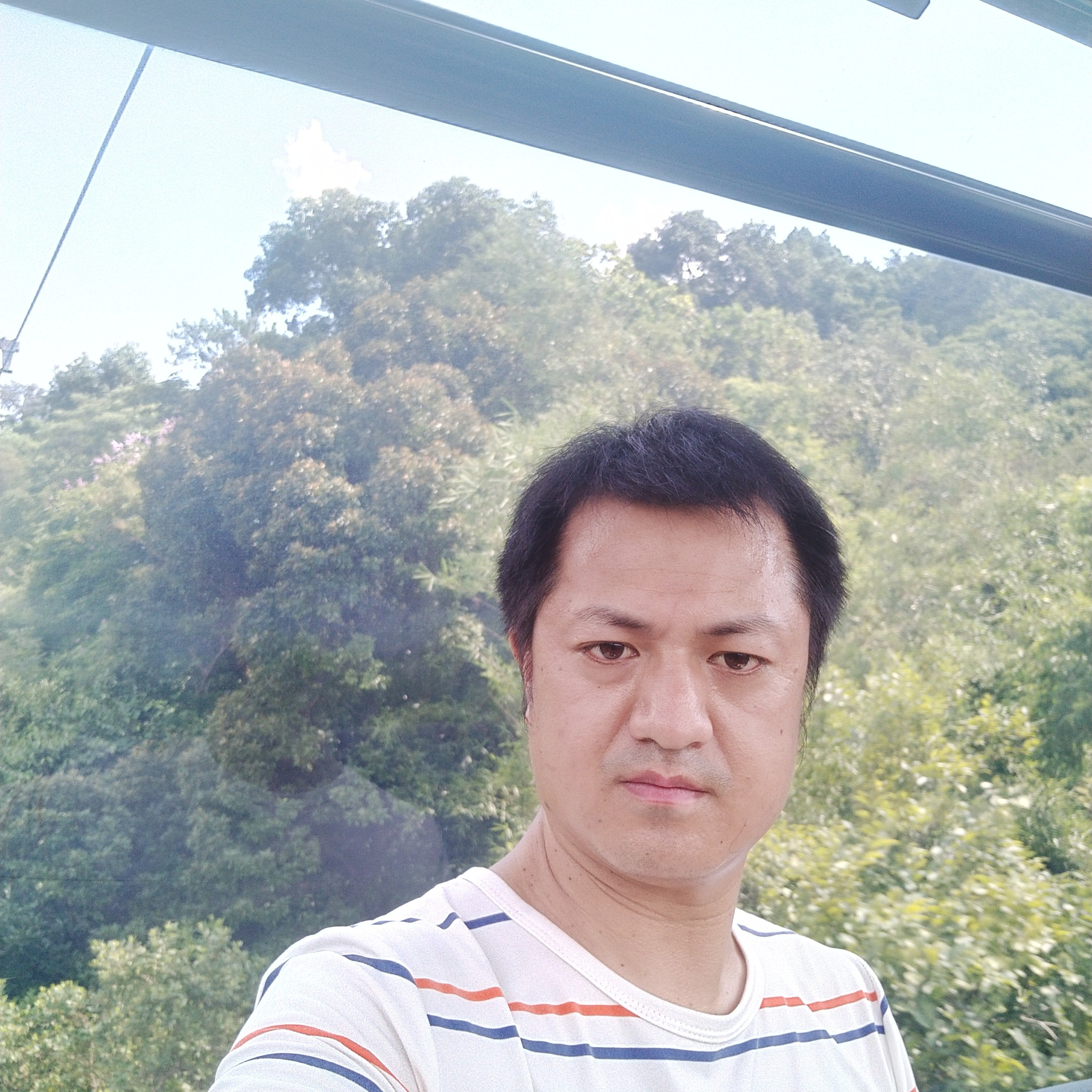 画笔拿如意的照片