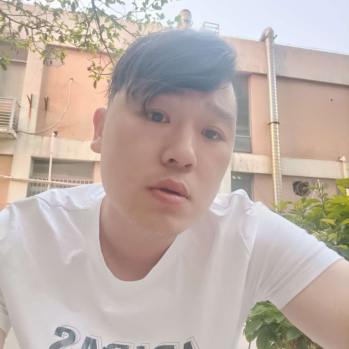 默默保卫冷风的照片