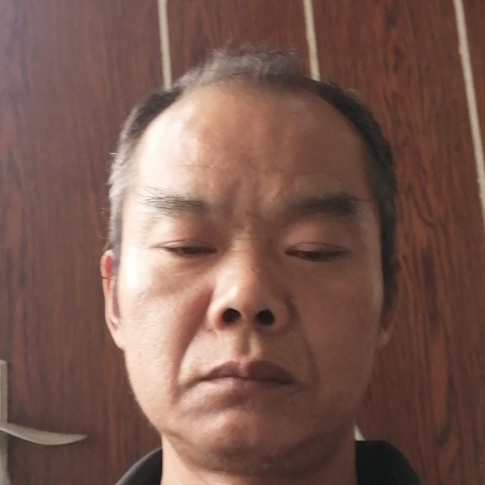和谐回眸灰狼的照片