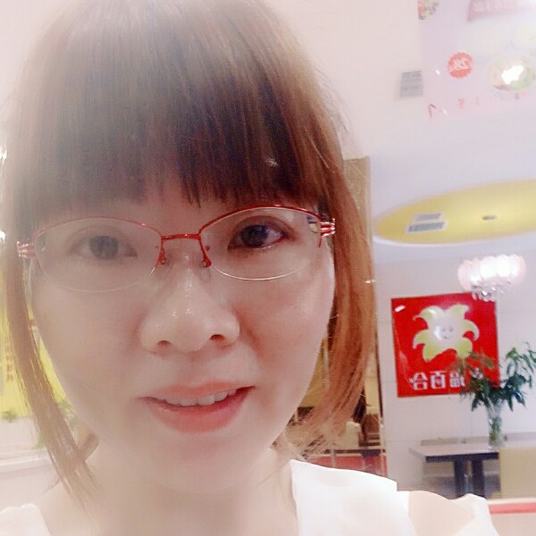 害羞玫瑰的照片