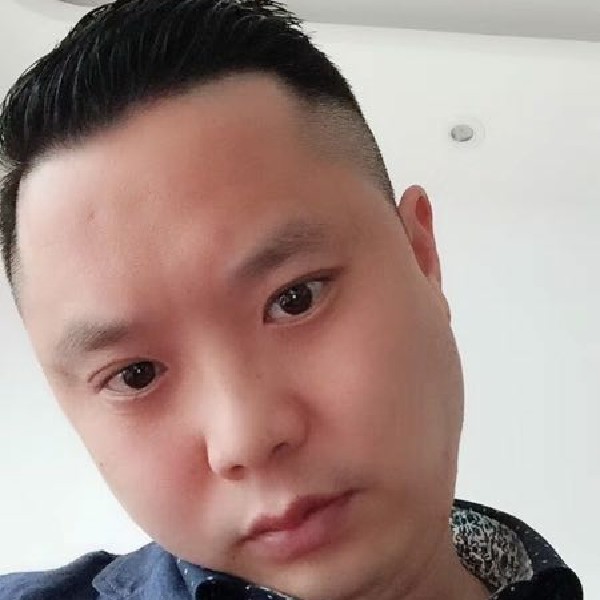 愉快玫瑰---的照片