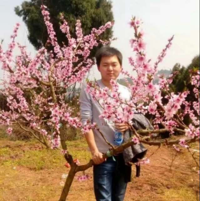 闪闪等待缘分的照片