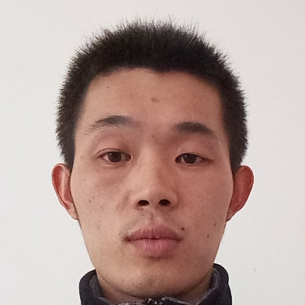 小天鹅浅吻满意的照片