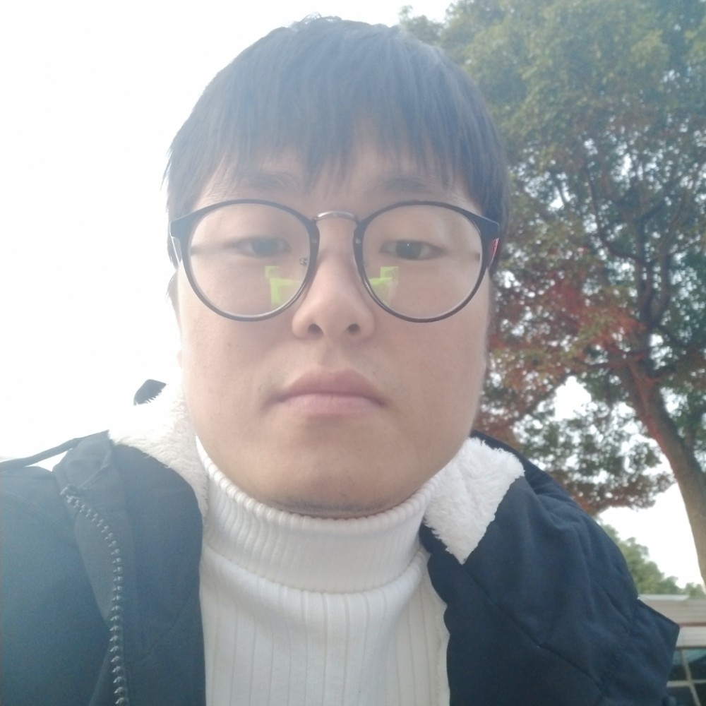 传统网络的照片