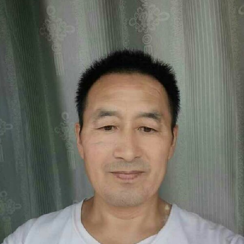 高原雄鹰的照片