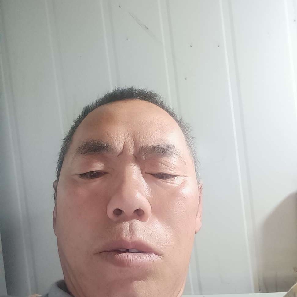 深情倾心乌龟的照片