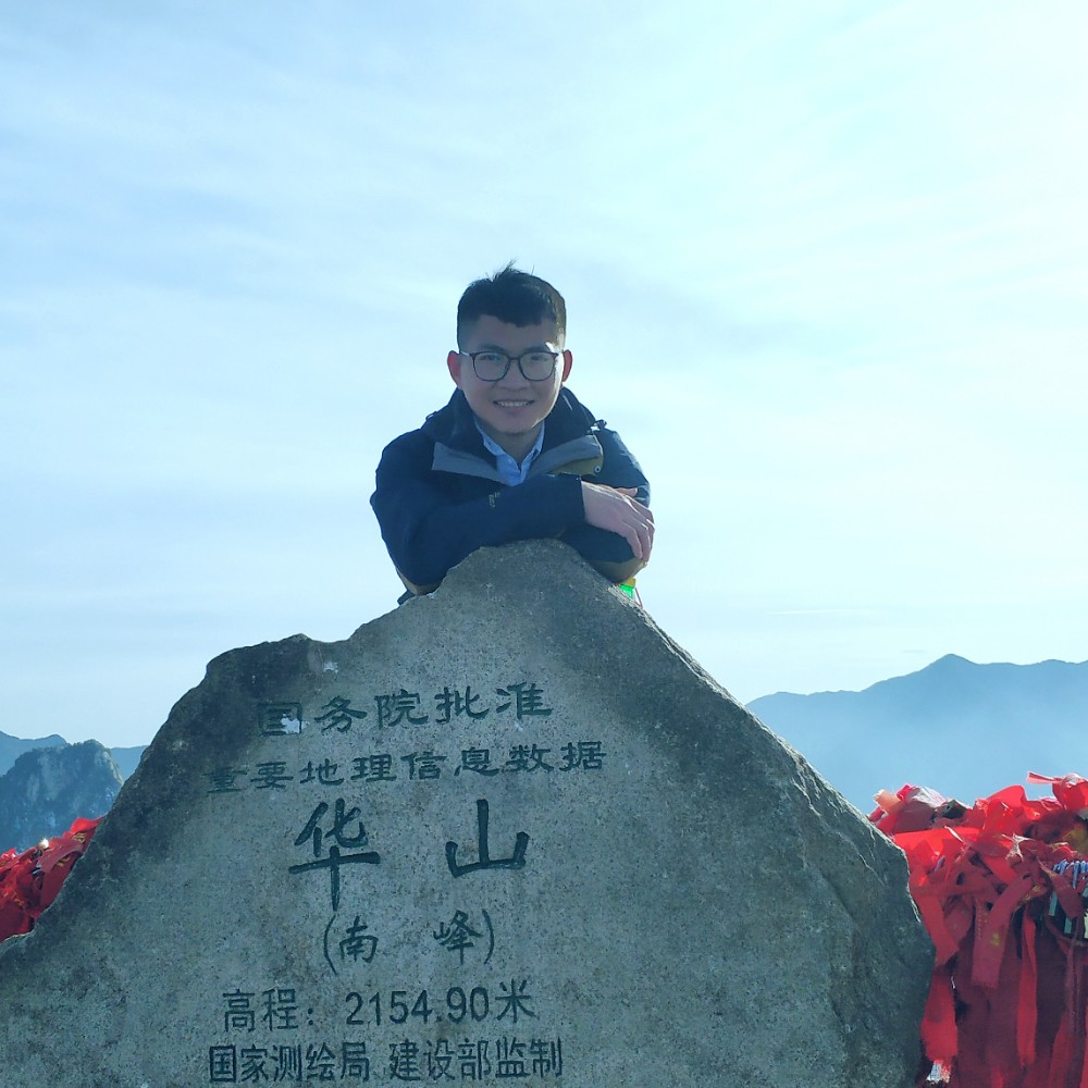 双低的照片