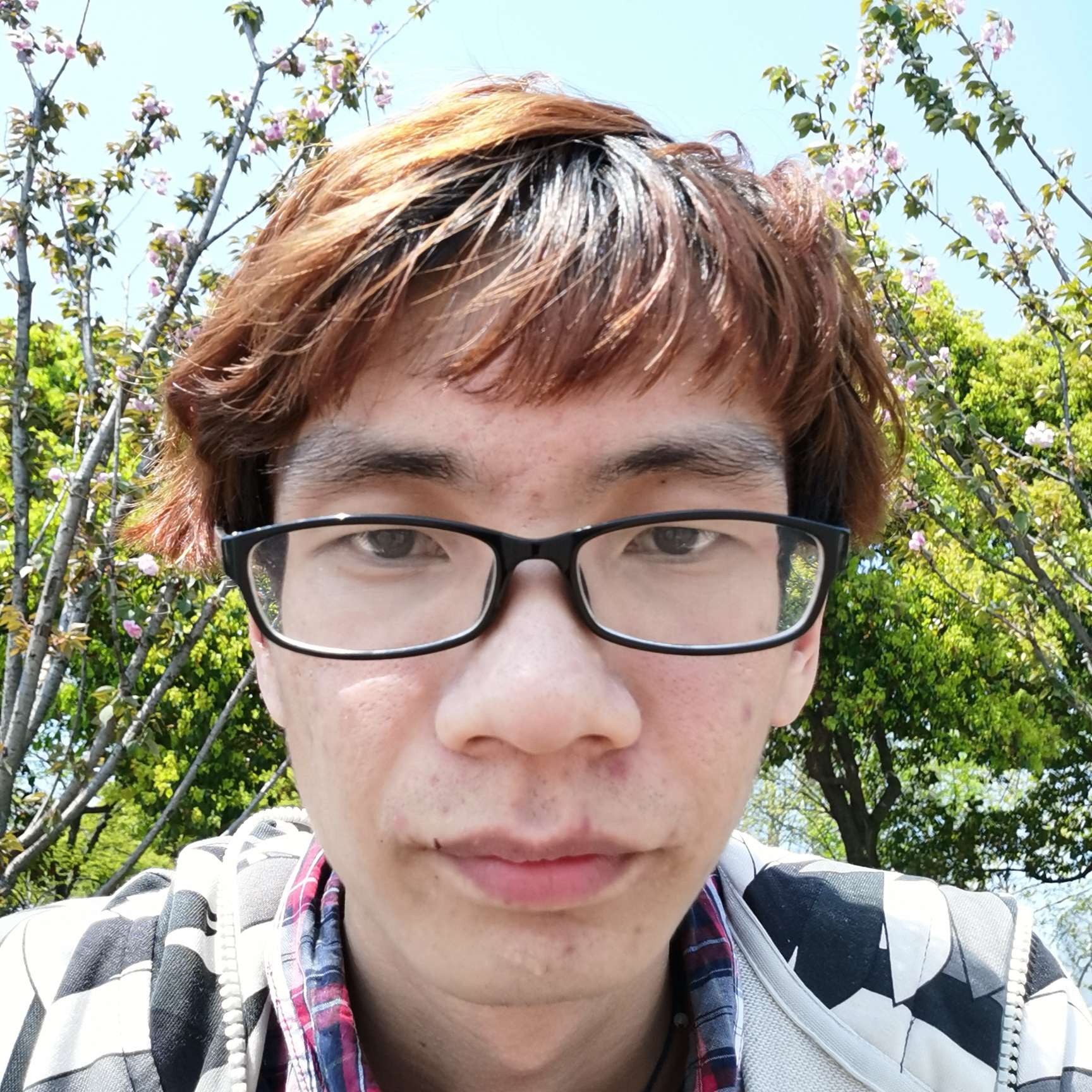 虚幻泪了尘宵的照片