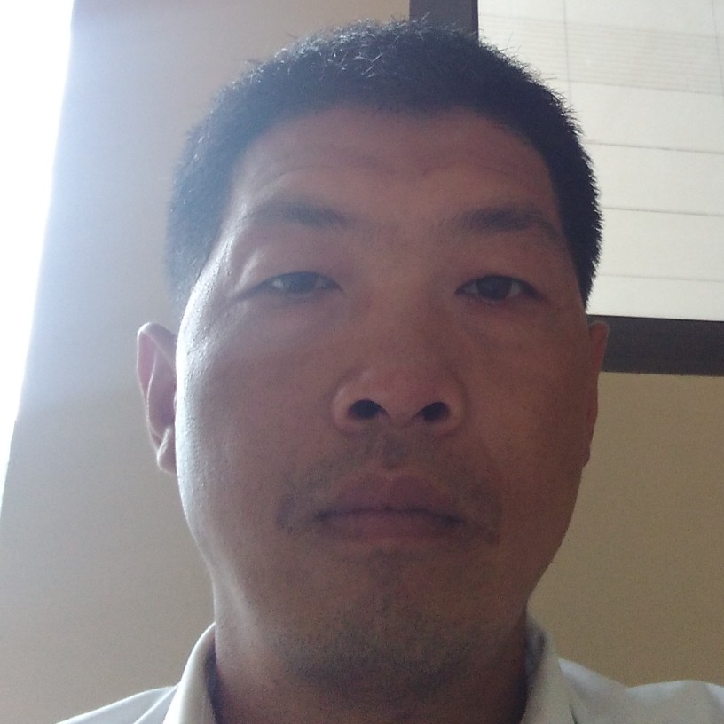 阔达用小海豚的照片