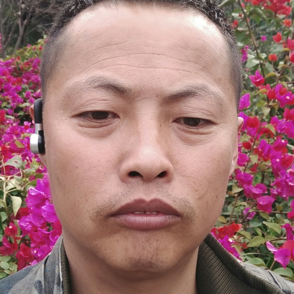 无悔人生18306524的照片