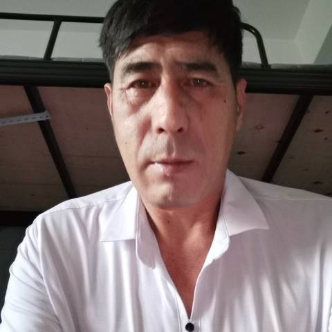 无情的影子的照片