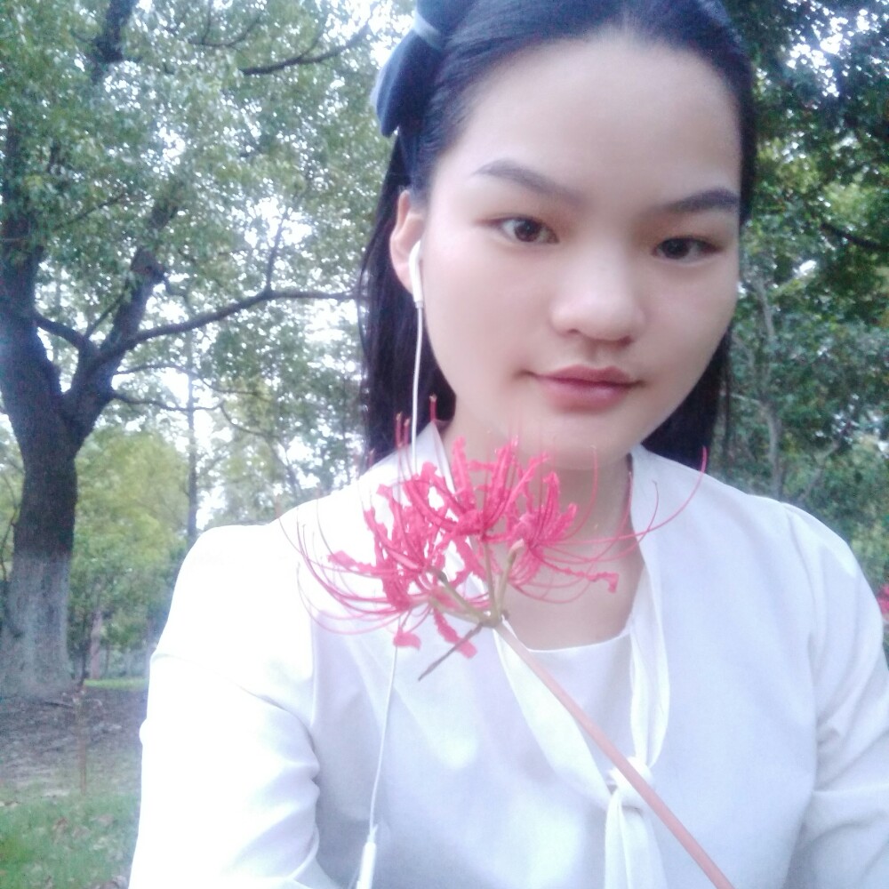暮雪意竹的照片