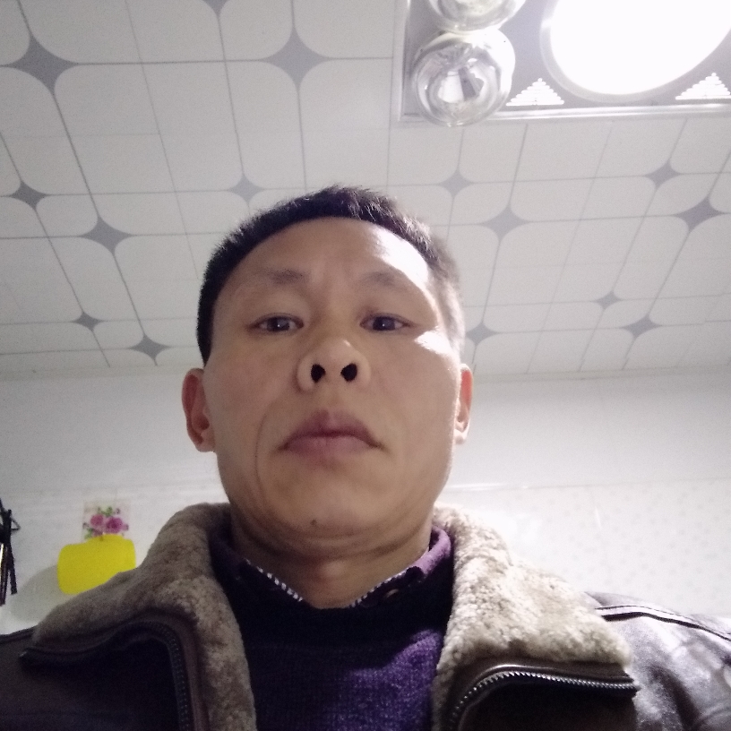 鸭子高大的照片