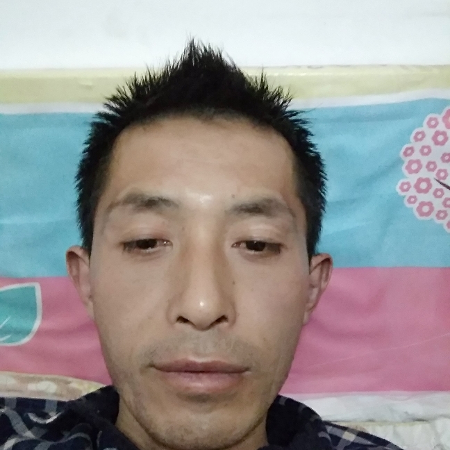 翩飞百合的照片