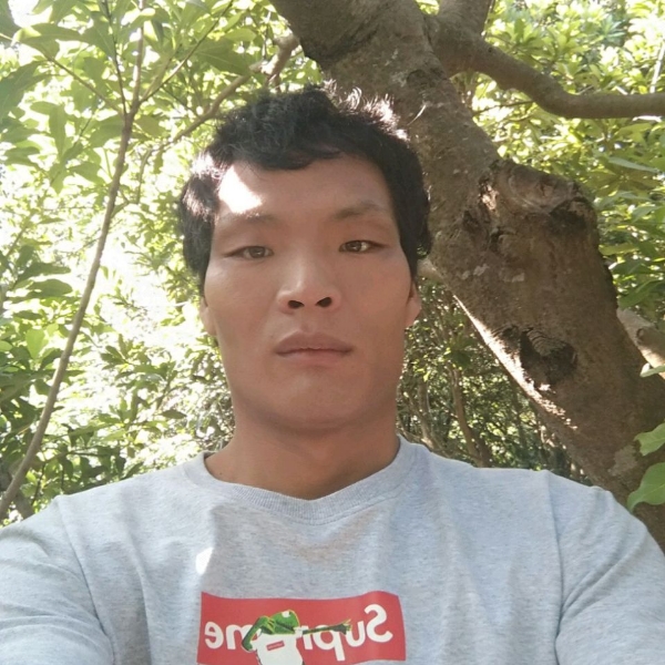欢喜西安的照片
