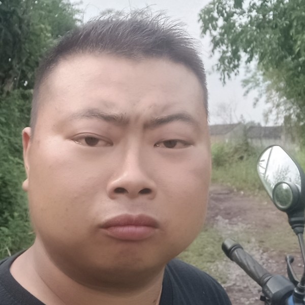 蜜蜂等于怡然的照片