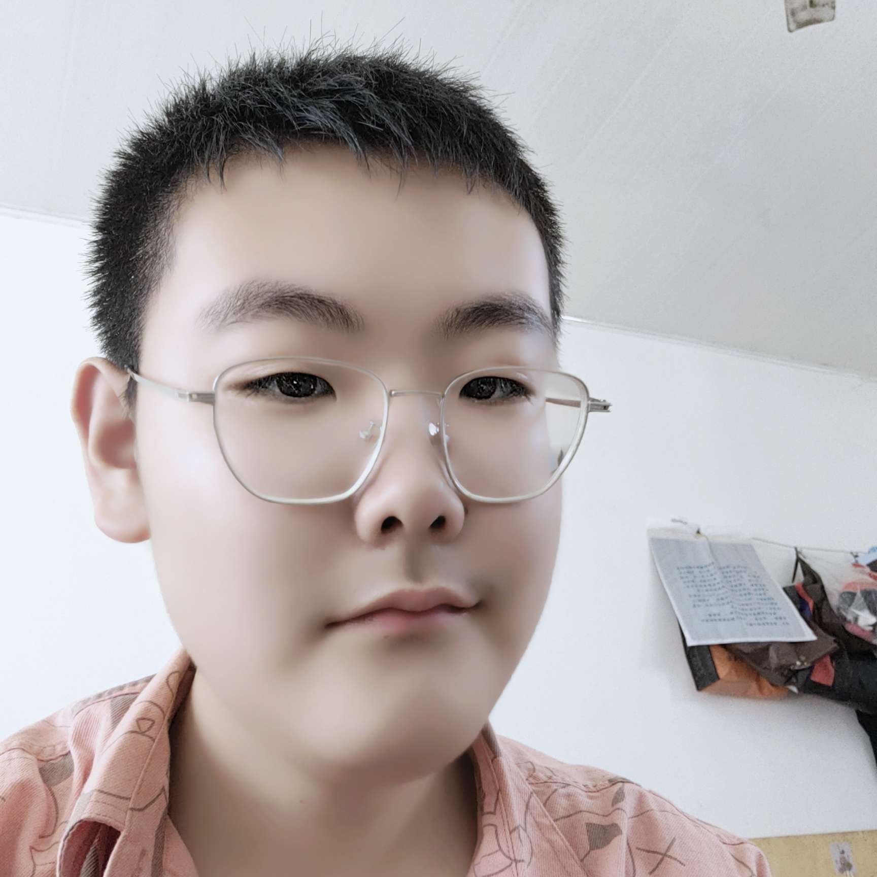 不听话的回眸钢笔的照片