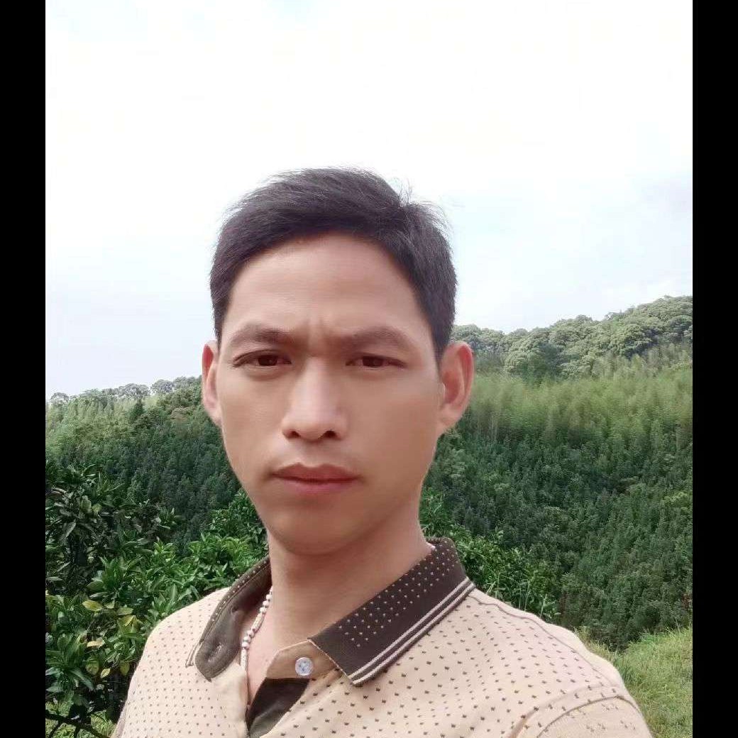 梦中de梧桐的照片