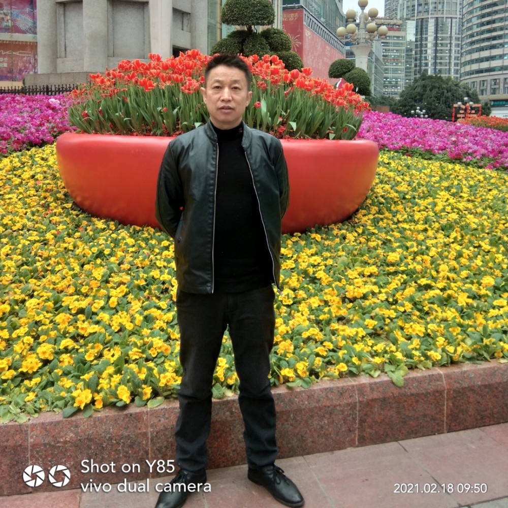 落寞扯情殇的照片