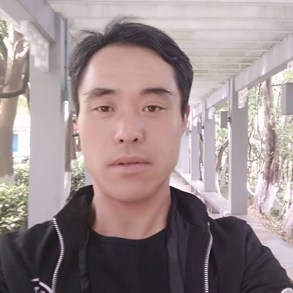 自由在天的照片