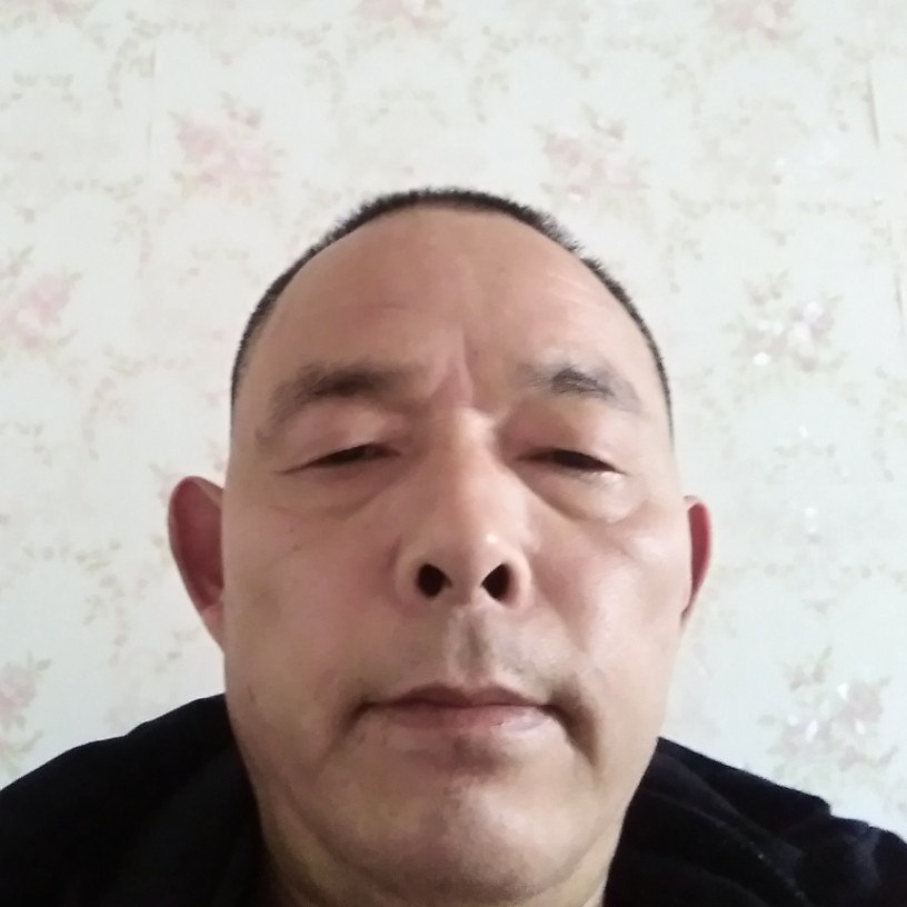 陶醉笑便当的照片