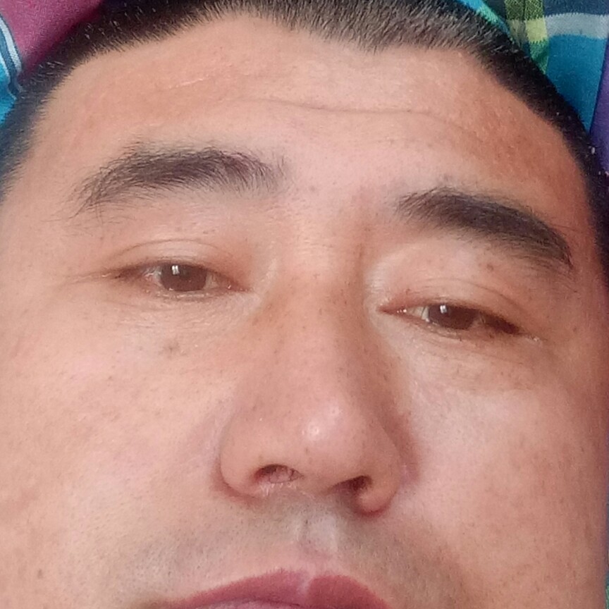 巨人大气的照片