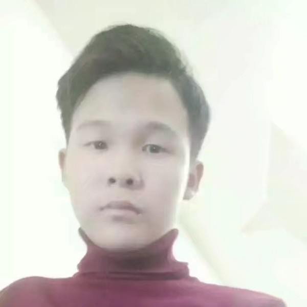 勤奋的领带的照片