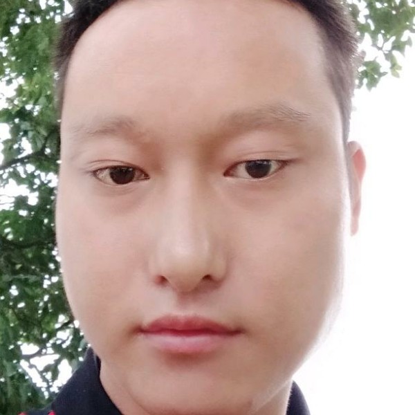 石本的照片