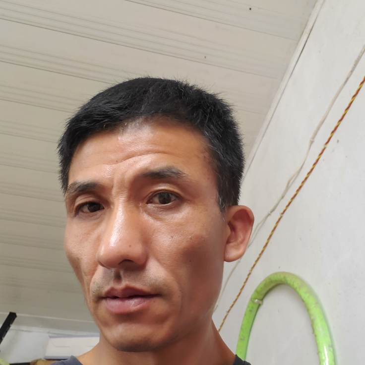 树叶倾心稳重的照片
