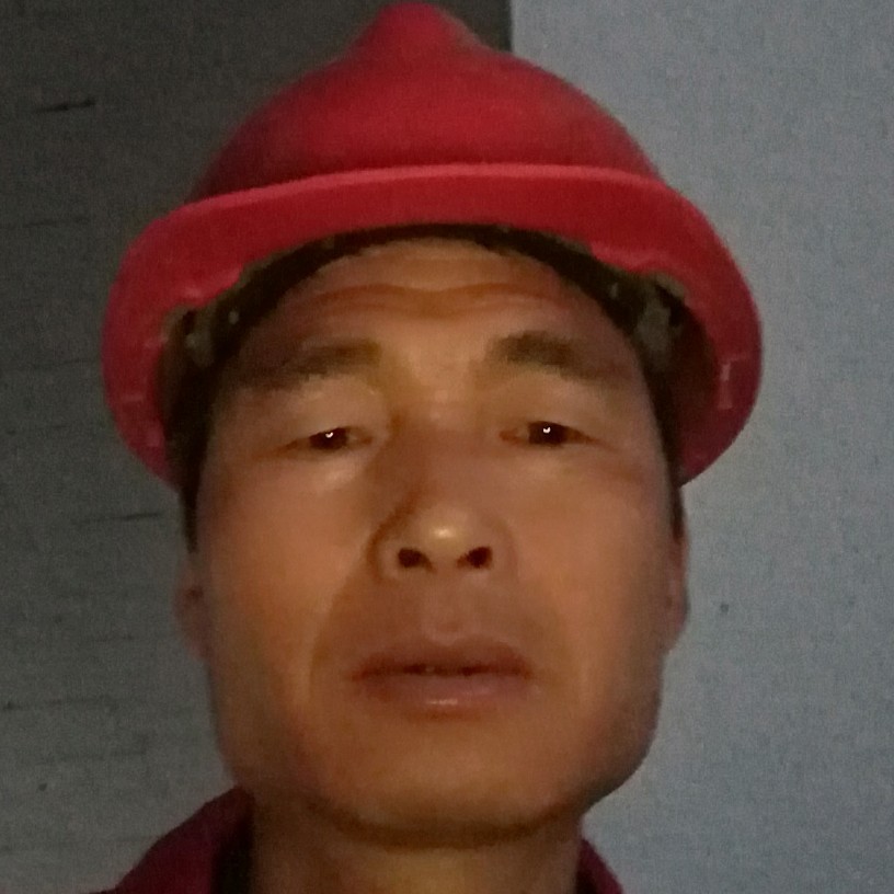 小猫咪笨笨的照片