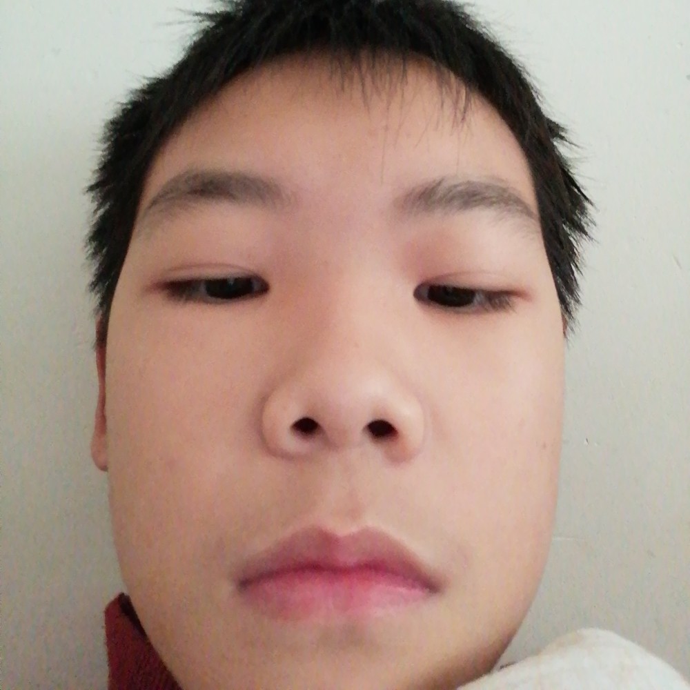 零碎停止大神的照片