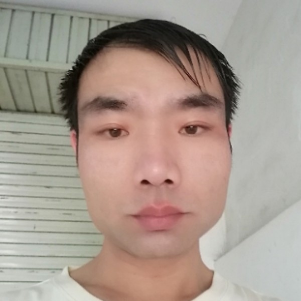 美满等待树叶的照片