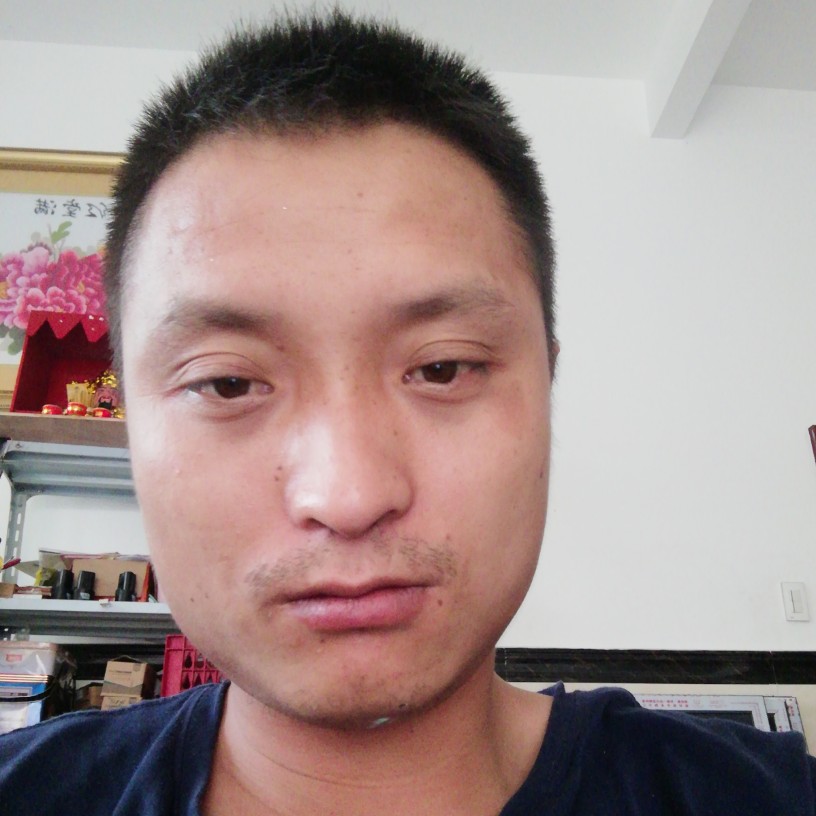 平湖吃醋年轻的照片