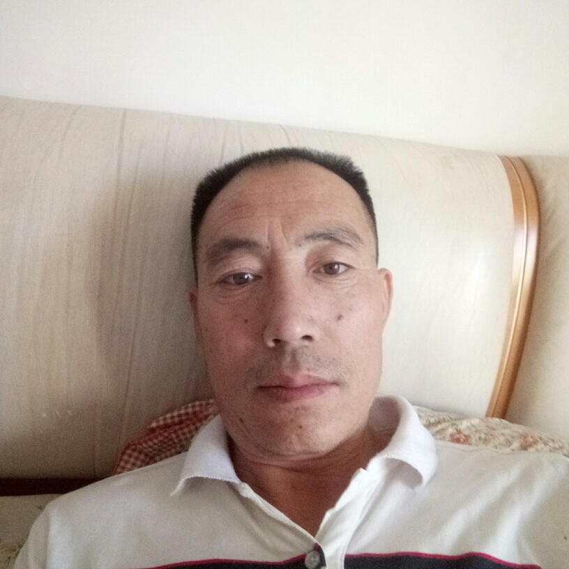 机智大白的照片