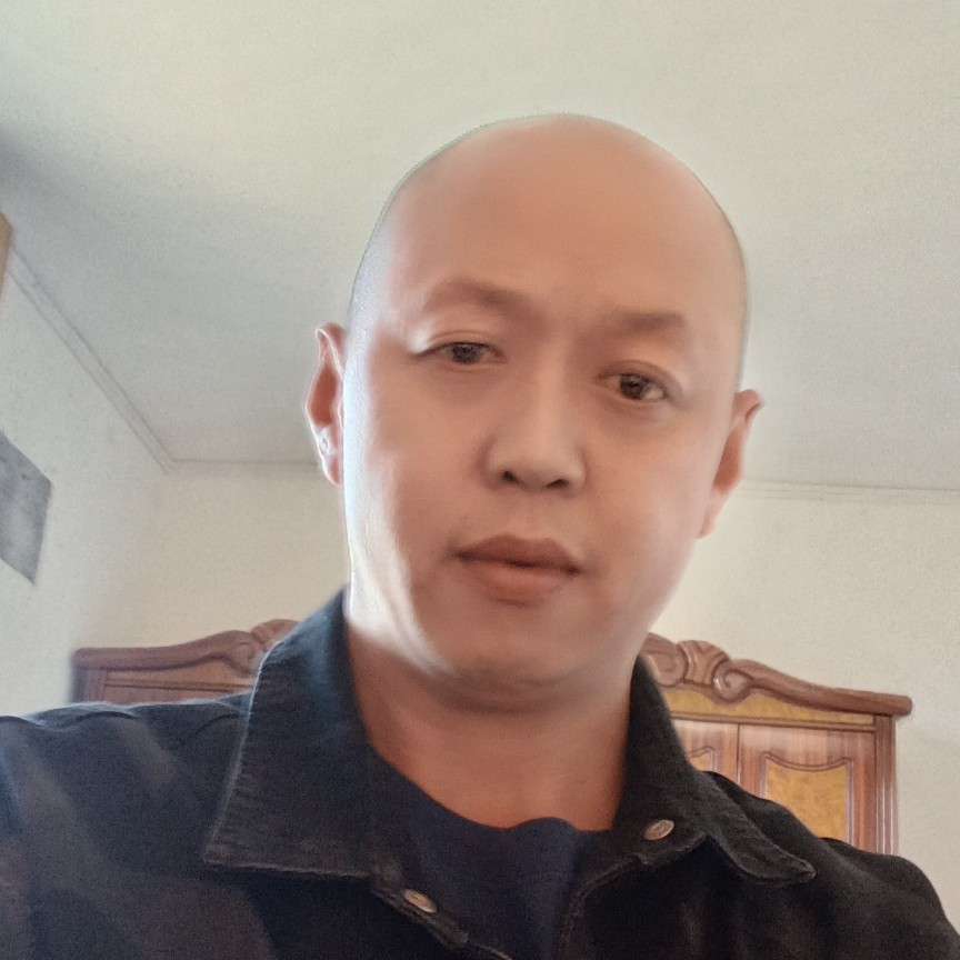 孤独的狼的照片