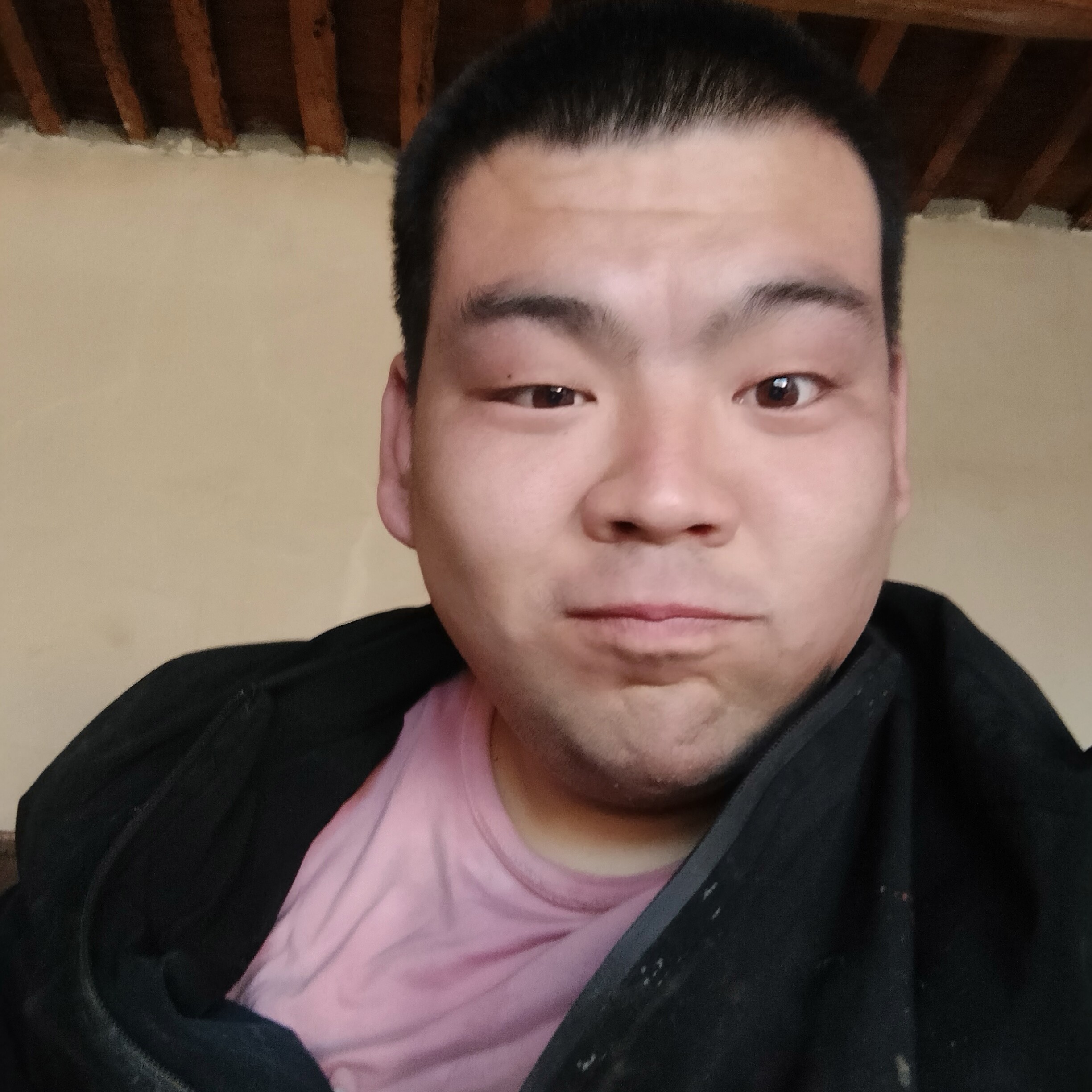 杨哥枯叶蝶的照片