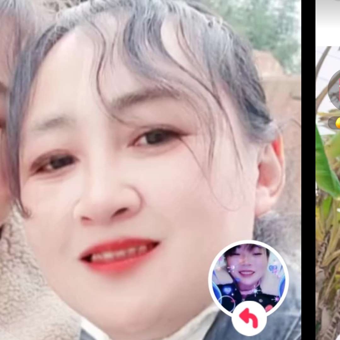 向日葵大胆的照片