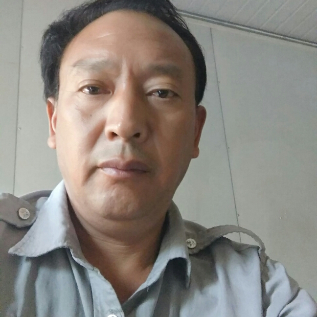 壮观黄蜂的照片