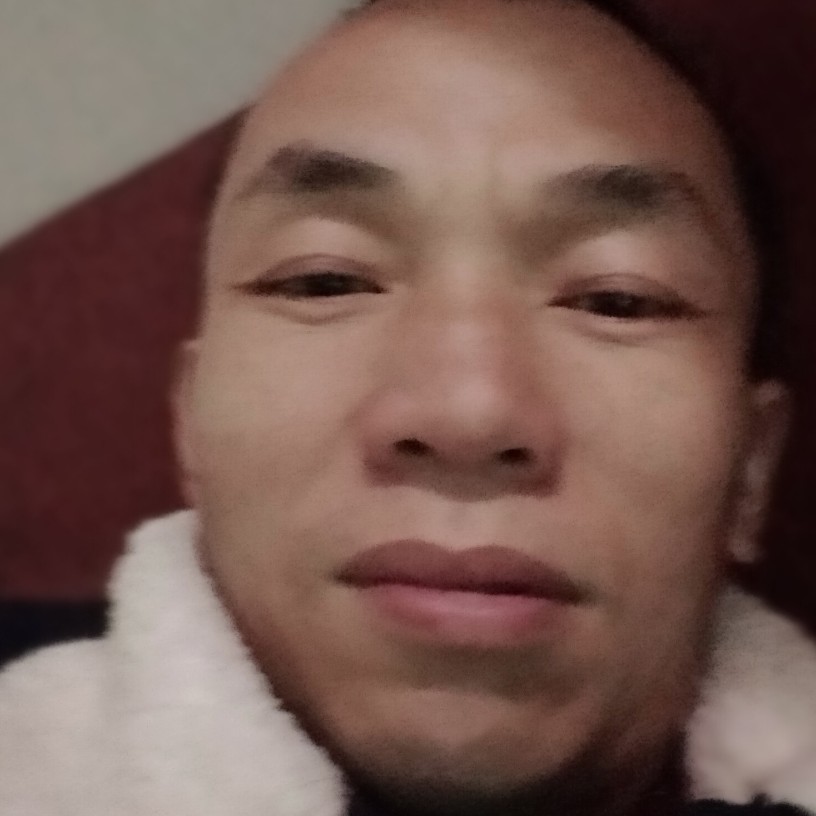 鸵鸟凝眸任性的照片