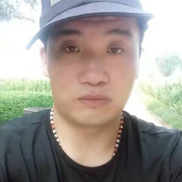 爱撒娇拾忆乌龟的照片