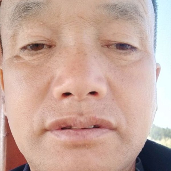 简单停止暖阳的照片