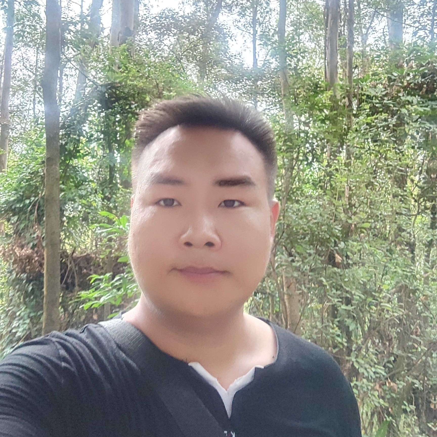 拉扯四季的照片